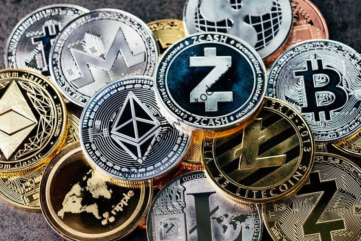 کاهش یا افزایش بازار ارزهای دیجیتال؛  کدام متحمل تر است؟