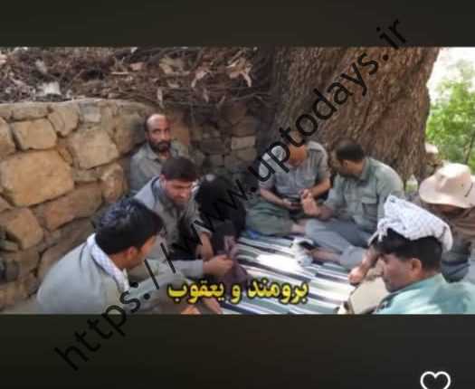محیط بان کرمانشاهی
