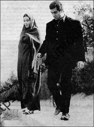 قیمتش خیلی بالاست