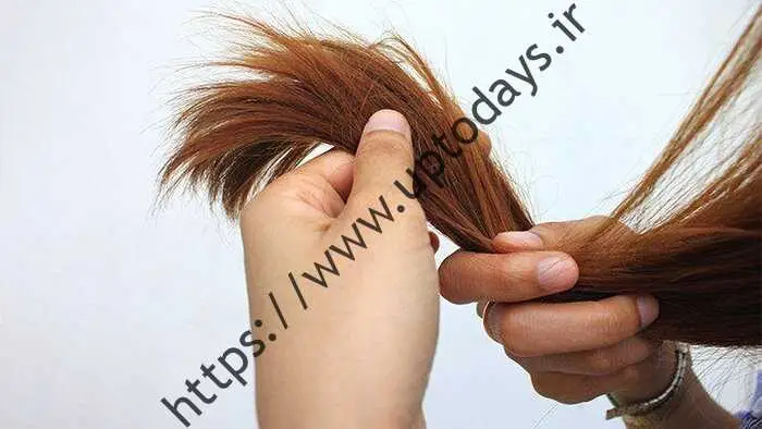 ترفند برای داشتن سلم