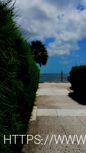 Green wall