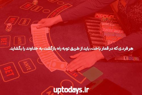 شبکه کتابخانههای کشور
